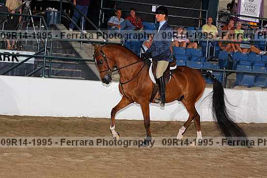 Proof 09r14-1995