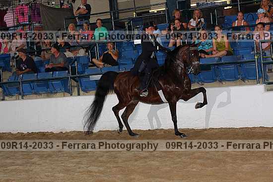 Proof 09r14-2033