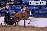 09r14-2057 proof