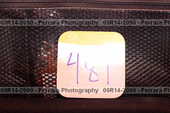 Proof 09r14-2090