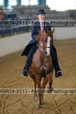 Proof 09r14-2113