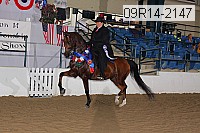 09r14-2147 proof