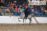 09r14-2822 proof