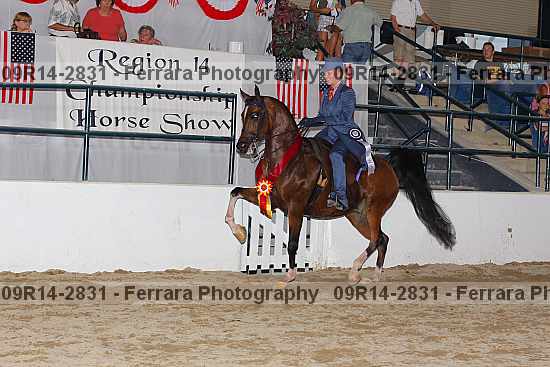 Proof 09r14-2831