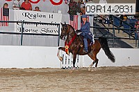 09r14-2831 proof