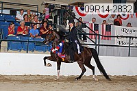 09r14-2832 proof