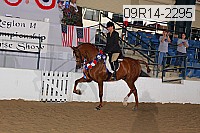 09r14-2295 proof