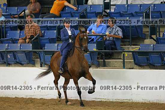 Proof 09r14-2305