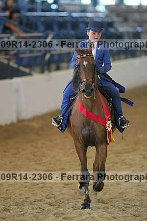 Proof 09r14-2306