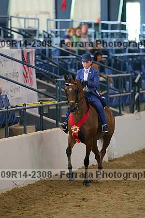 Proof 09r14-2308