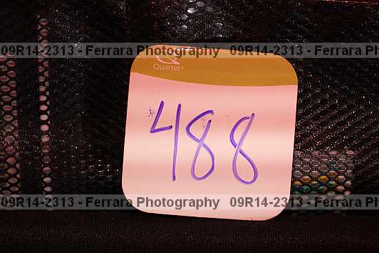 Proof 09r14-2313