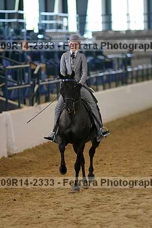 Proof 09r14-2333