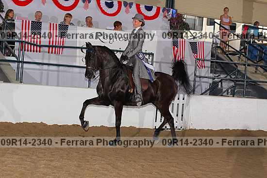 Proof 09r14-2340