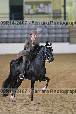 Proof 09r14-2407