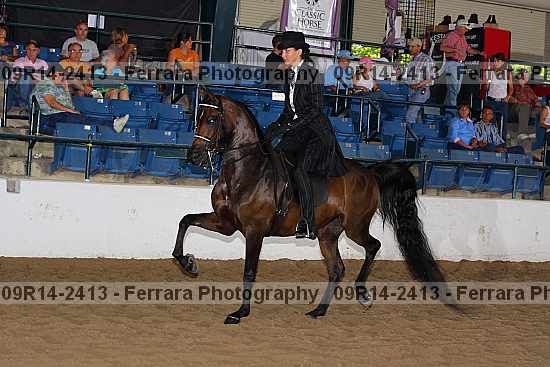 Proof 09r14-2413