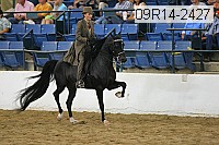 09r14-2427 proof