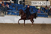 09r14-2433 proof