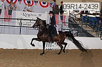 09r14-2439 proof