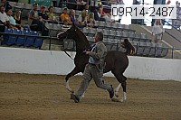 09r14-2487 proof
