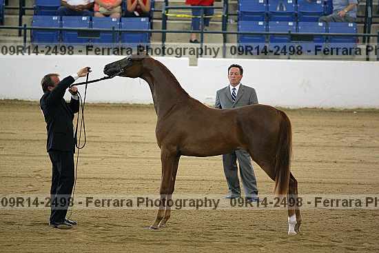 Proof 09r14-2498