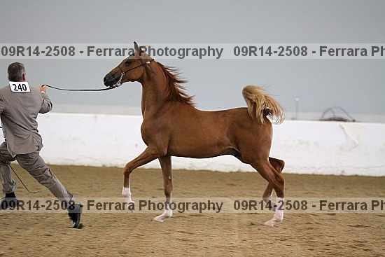 Proof 09r14-2508