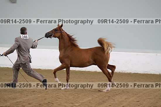 Proof 09r14-2509