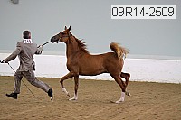 09r14-2509 proof