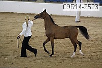 09r14-2523 proof