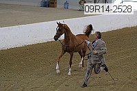09r14-2528 proof