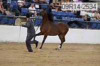 09r14-2534 proof