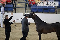 09r14-2541 proof