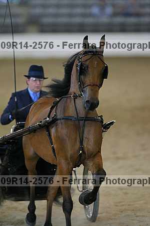 Proof 09r14-2576