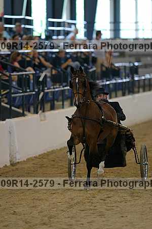 Proof 09r14-2579