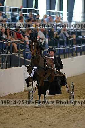 Proof 09r14-2596