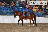 09r14-2652 proof