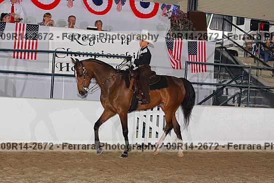 Proof 09r14-2672