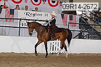 09r14-2672 proof