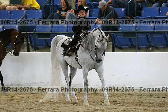 Proof 09r14-2675