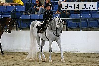 09r14-2675 proof