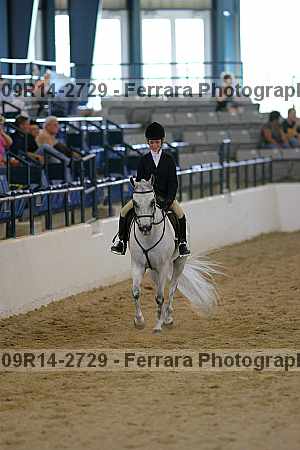 Proof 09r14-2729
