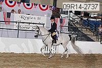 09r14-2737 proof