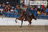 09r14-2764 proof