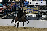 09r14-2769 proof