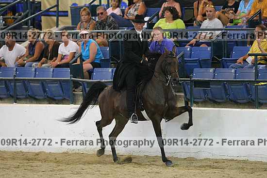 Proof 09r14-2772