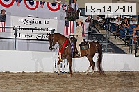 09r14-2801 proof