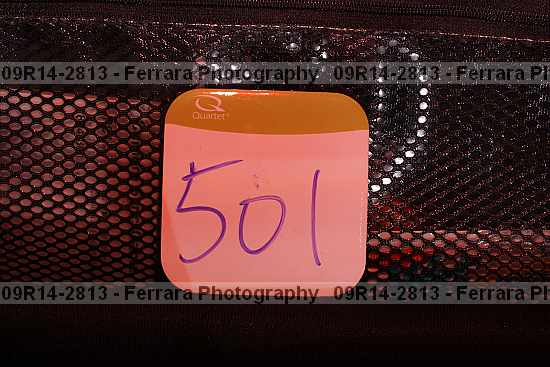 Proof 09r14-2813