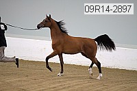 09r14-2897 proof