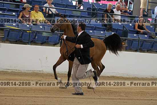 Proof 09r14-2898