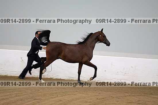 Proof 09r14-2899