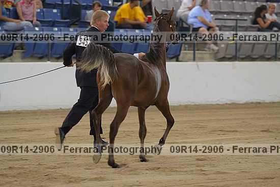 Proof 09r14-2906